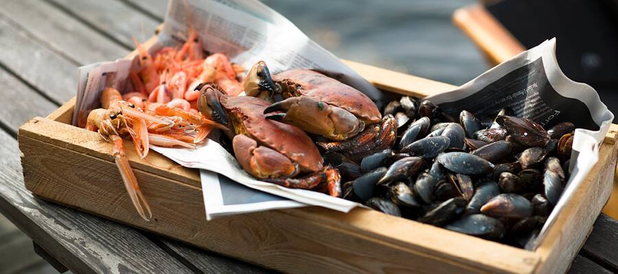 Saborea los mariscos frescos de la zona en Karlskrona.